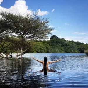 Espiritualidade Vegetal na Floresta Amazônica