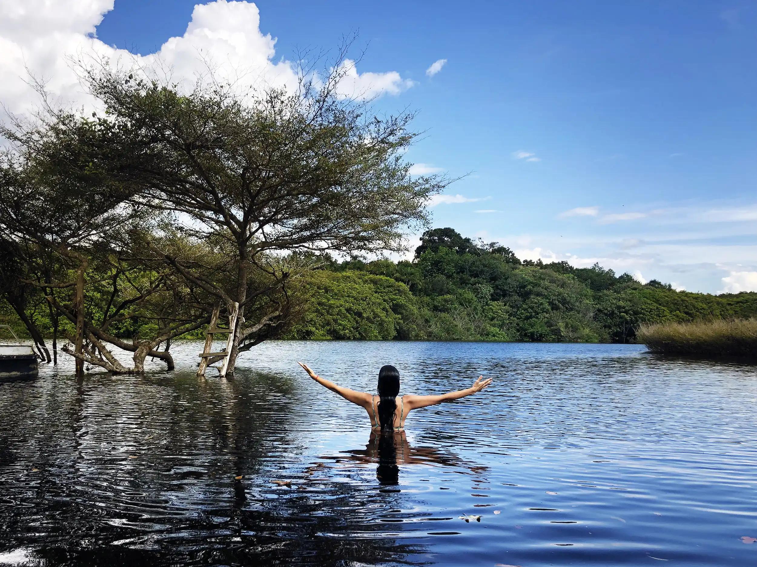 Espiritualidade Vegetal na Floresta Amazônica 3 Rio Negro Amazonia 2