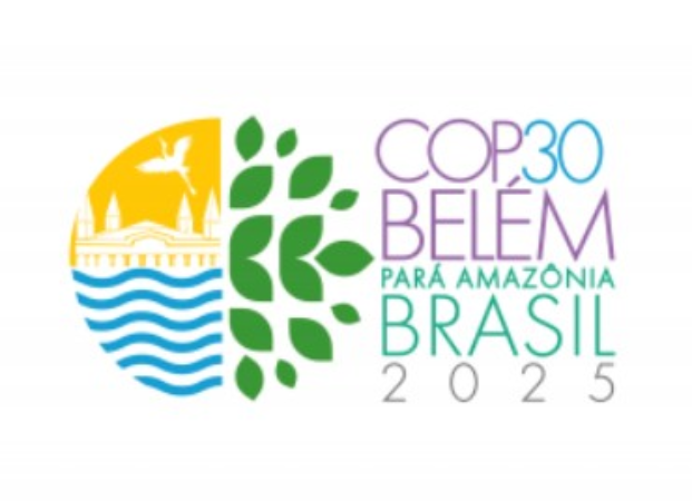 Screenshot-2025-04-03-105724 Dan Ioschpe assume papel estratégico na COP30 como Campeão de Alto Nível do Clima