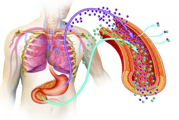 Screenshot 2025 04 03 155524