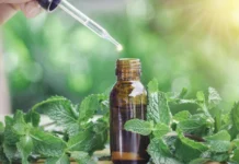 Qual a origem dos remédios que tomamos? Da natureza ao laboratório, a jornada dos medicamentos história