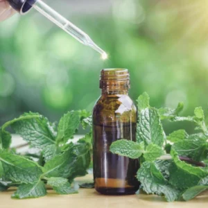 Qual a origem dos remédios que tomamos? Da natureza ao laboratório, a jornada dos medicamentos história