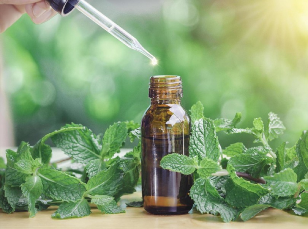 Qual a origem dos remédios que tomamos? Da natureza ao laboratório, a jornada dos medicamentos 5 história