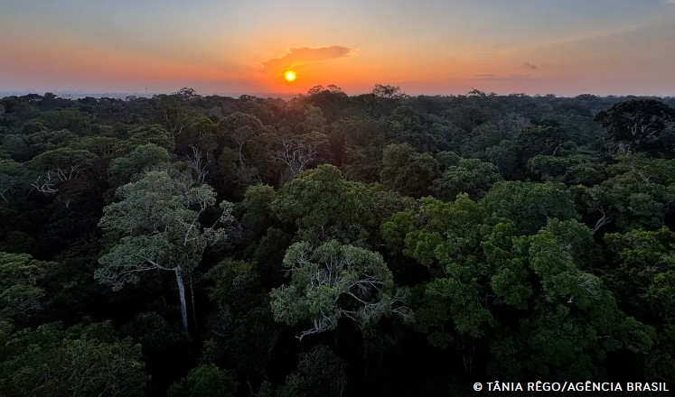 Instituto Clima e Sociedade lança edital para projetos que usam IA 4 Instituto