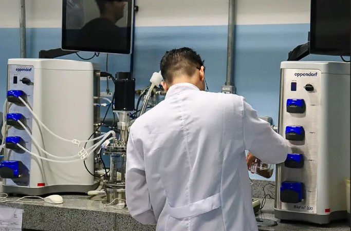 Screenshot 2025 04 07 203353