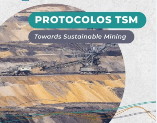 TSM E A MINERAÇÃO 4 TSM