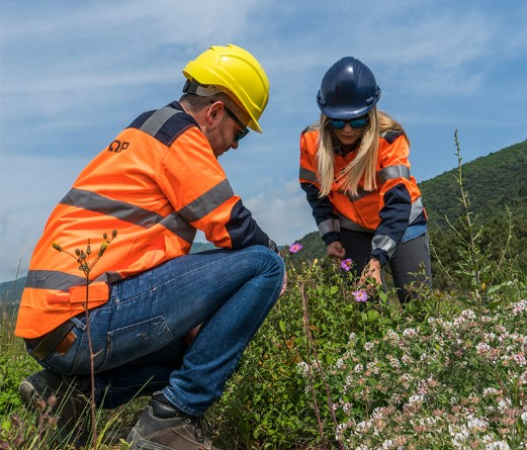 TSM E A MINERAÇÃO 1 Screenshot 2025 04 08 114911