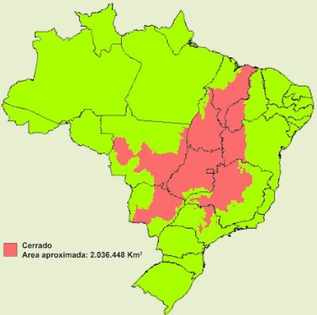 Screenshot-2025-04-08-152306 Estudo define indicadores-chave para restaurar campos naturais e savanas