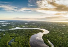 Chamada pública seleciona pesquisas sobre soberania e sustentabilidade na Amazônia seleção
