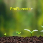 BNDES e Petrobras lançam programa de restauração ecológica e geração de créditos de carbono na Amazônia BNDES