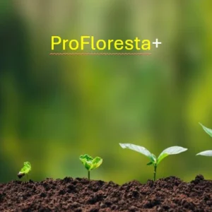 BNDES e Petrobras lançam programa de restauração ecológica e geração de créditos de carbono na Amazônia BNDES