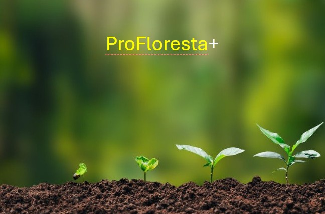 BNDES e Petrobras lançam programa de restauração ecológica e geração de créditos de carbono na Amazônia 3 BNDES