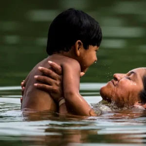 Primeira plataforma digital para difusão da cultura amazônica chega ao mercado cultura