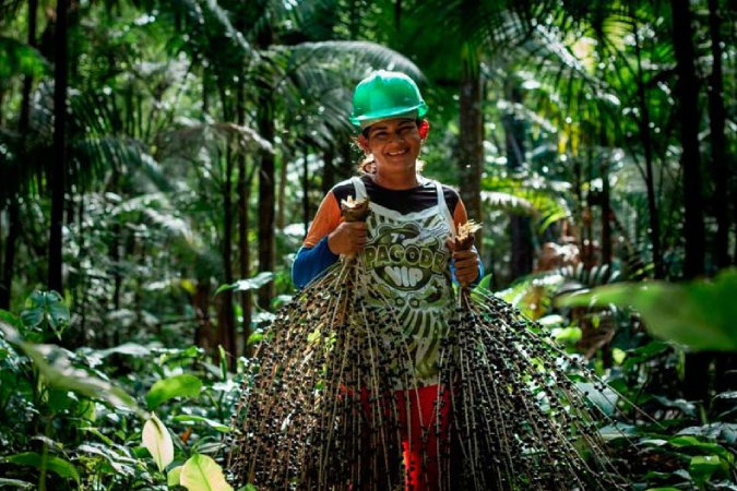 INPI reconhece Indicação Geográfica (IG) para o açaí de Bailique, Amapá 3 reconhecimento