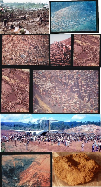 Screenshot-2025-04-10-104826-1 O GARIMPEIRO E O OURO