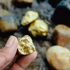 O GARIMPEIRO E O OURO garimpeiro