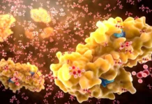 Enzima descoberta em solo de usina pode impulsionar produção de etanol sustentável etanol