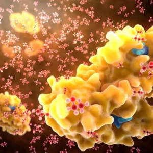 Enzima descoberta em solo de usina pode impulsionar produção de etanol sustentável etanol