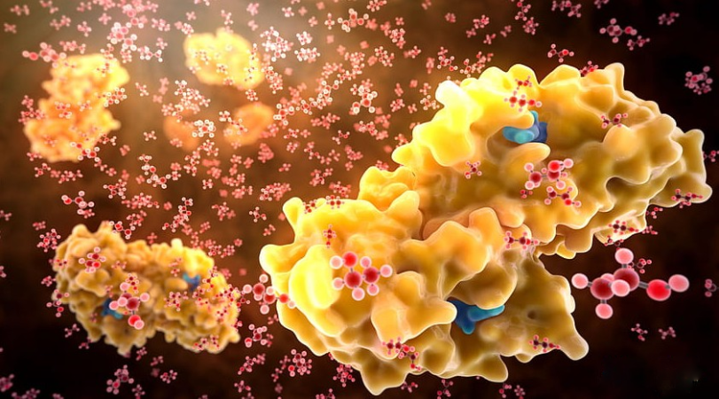 Enzima descoberta em solo de usina pode impulsionar produção de etanol sustentável 3 etanol