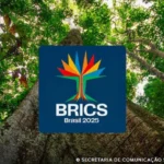 Brics