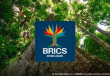 Brics lança concurso para startups lideradas por mulheres Brics