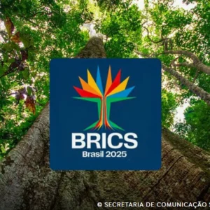Brics lança concurso para startups lideradas por mulheres Brics
