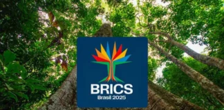 Brics
