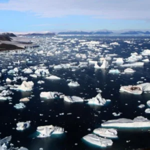 Expedição com pesquisador brasileiro observa derretimento acelerado na Antártica e acende alerta global Antártica