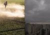 Cidades de São Paulo estão sendo contaminadas por agrotóxicos carregados pelas chuvas chuvas