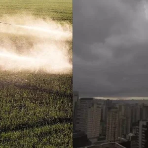 Cidades de São Paulo estão sendo contaminadas por agrotóxicos carregados pelas chuvas chuvas
