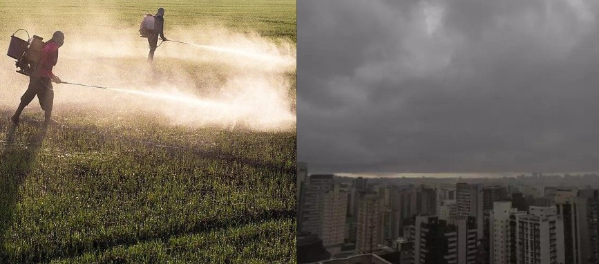 Cidades de São Paulo estão sendo contaminadas por agrotóxicos carregados pelas chuvas 3 chuvas