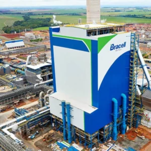 Bataguassu entra no mapa global da celulose com investimento de R$ 25 bilhões da Bracell Bracell