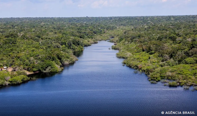 Screenshot 2025 04 11 194934