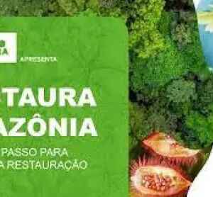 Nova etapa do projeto Restaura Amazônia é lançado durante ATL restaura