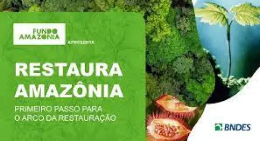 Nova etapa do projeto Restaura Amazônia é lançado durante ATL 4 restaura