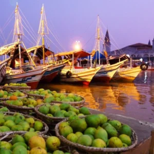 Conheça editais como o Finep, que libera R$ 100 milhões para bioeconomia amazônica