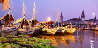 Conheça editais como o Finep, que libera R$ 100 milhões para bioeconomia amazônica