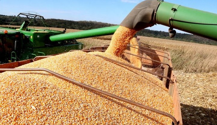 Screenshot-2025-04-14-212409-1 Tradicional grupo do agro entra em recuperação judicial após acúmulo de dívidas