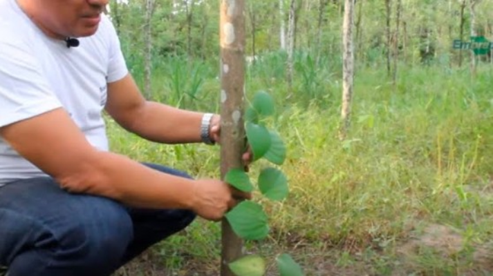 Screenshot 2025 04 15 165355