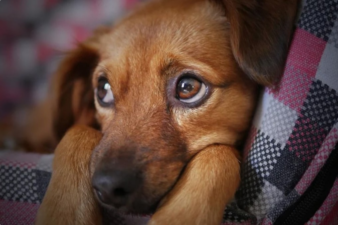 Screenshot 2025 04 15 205705