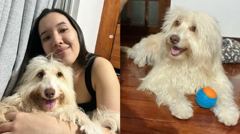 Screenshot 2025 04 15 211840