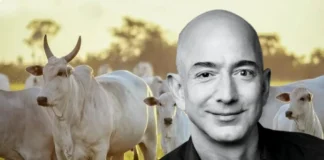 Bezos