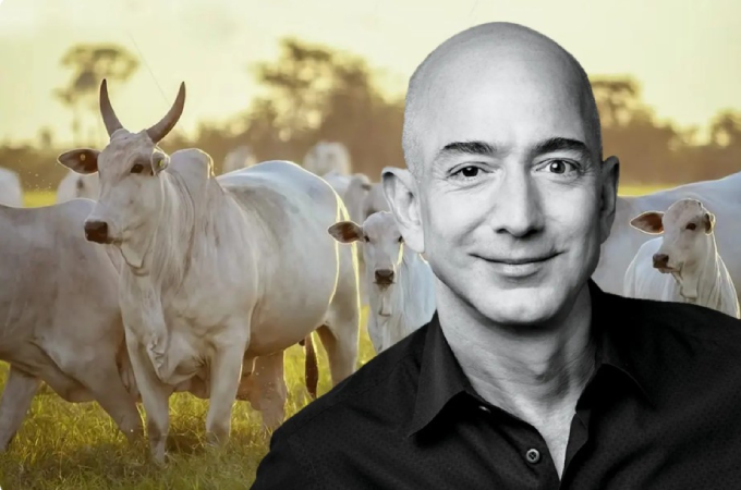 Bezos apoia criação de gado sustentável com investimento de US$ 27,4 milhões 3 Bezos
