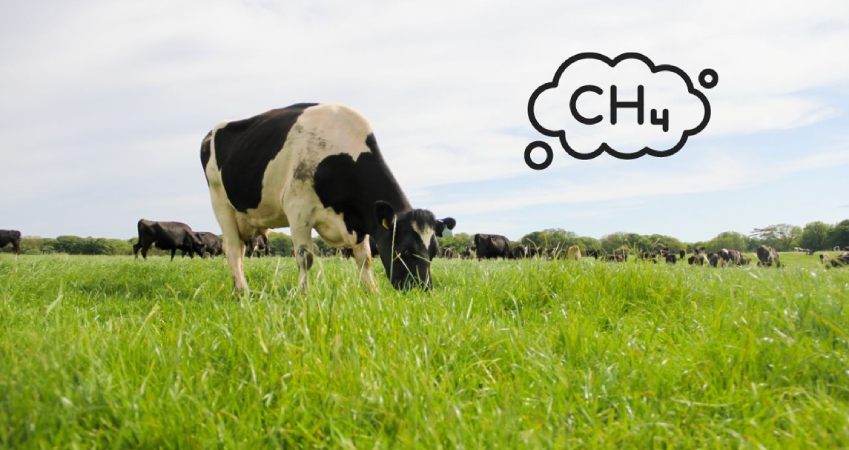 Screenshot-2025-04-16-112021 Bezos apoia criação de gado sustentável com investimento de US$ 27,4 milhões