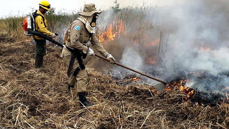 Brasil reduz 70% da área queimada no primeiro trimestre de 2025 3 Screenshot 2025 04 16 115522