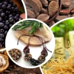 Bioeconomia no Pará direciona um futuro verde com impacto bilionário bioeconomia