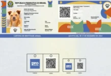 Saiba como funciona o SinPatinhas, novo RG Animal para cães e gatos SinPatinhas