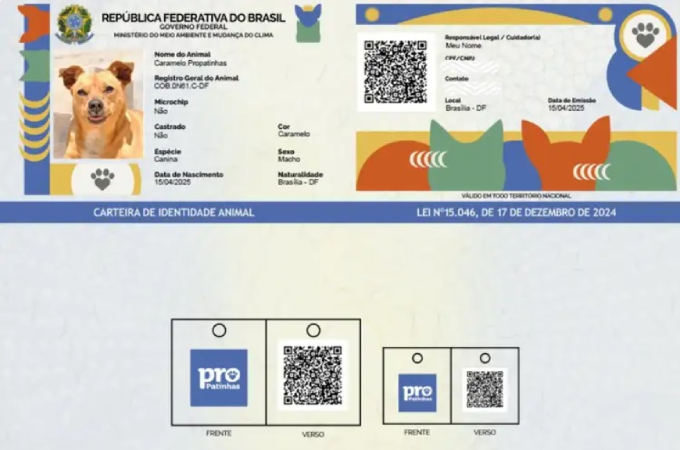 Saiba como funciona o SinPatinhas, novo RG Animal para cães e gatos 5 SinPatinhas