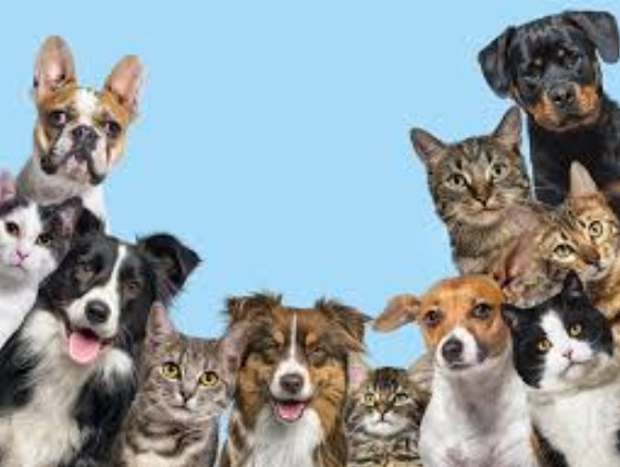 Screenshot 2025 04 17 161342