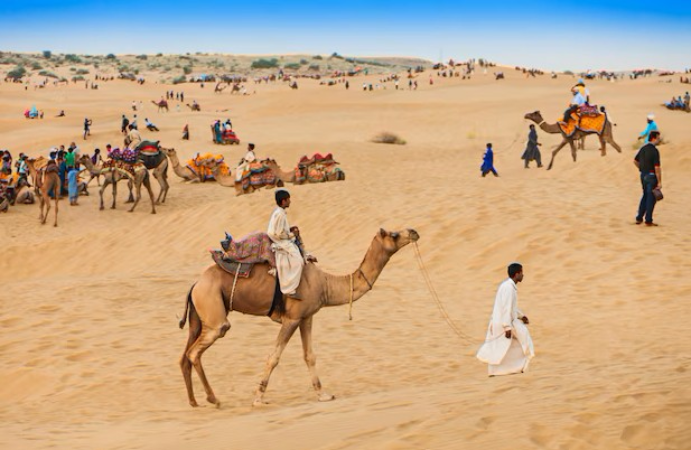 Screenshot-2025-04-18-222831 O Esverdeamento do Deserto de Thar é relacionado a mudanças climáticas e a interferência humana